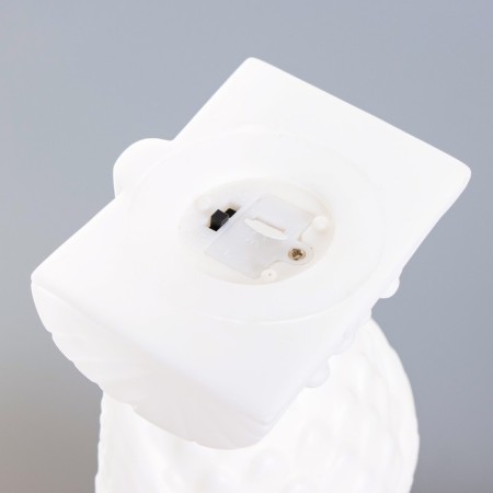 Night Owl LED from white batteries 7x9x19 cm Risalux-7