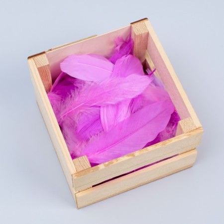 Filler of feathers for balls and gifts, light purple, 10-12 cm 8 g-2