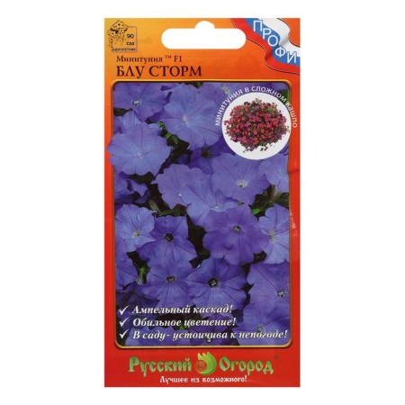 Flowers of Minitunia "Blue Storm", series "Profi", F1, 6 pcs-2