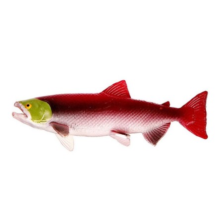 Training set "Stages of fish development" 5 figures-10