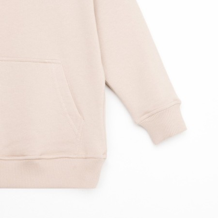 Kid for children (hoodies, trousers) KAFTAN "BASIC Line", size 30 (98-104), coffee color-9