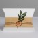 Gift Figure Gift, Packaging, "Eco", 11 x 8 x 2 cm