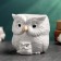 Figure Kashpo "Owl with the Council" Pearl, 12x14x10cm