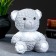 Piggy bank "Bear Plush" gray, 13x11x15cm