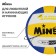 Volleyball Minsa, PVC, machine stitching, 18 panels, p. 5