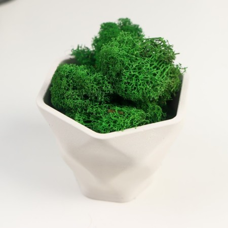 Kashpo concrete "Fantasy" with moss height 9 cm white (moss green stabilized)-1