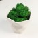 Kashpo concrete "Fantasy" with moss height 9 cm white (moss green stabilized)