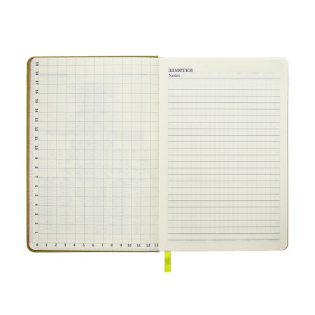 Leduced Diary A5, 140l, Cage, leatherette, elastic band, red cut, green-9