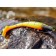Vibro -highs LJ 3D Series Kubira Swim Shad 7.0in (17.50)/PG14 2pcs.