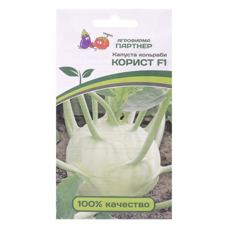 Cabbage cabbage seeds "Corista", F1, 10 pcs.