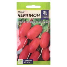 Seeds Radis 