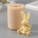 Silicone Mold "Hare with Flower" 3.5x3x5.5 cm mix