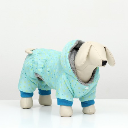 Kombinson "Tender Way" on the fur lining, size S (DS 25, Osh 25, OG 35 cm), Blue