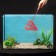 Aquarium net 12.5 cm, red