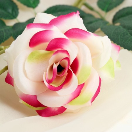 Artificial flowers "Troy rose" 6x61 cm, white-pink-1
