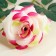 Artificial flowers "Troy rose" 6x61 cm, white-pink