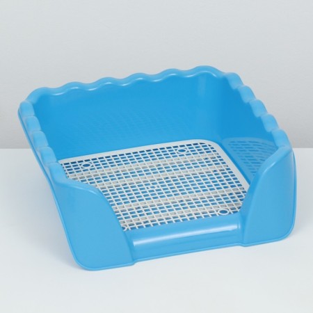 Tuel for dogs with high sides and a removable mesh 43x43x15 cm, blue-2