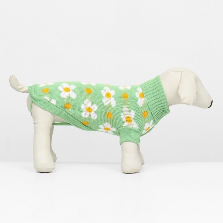 Swim "Chamomile", size XL (DS 40, Osh 33, OG 50 cm), green-1