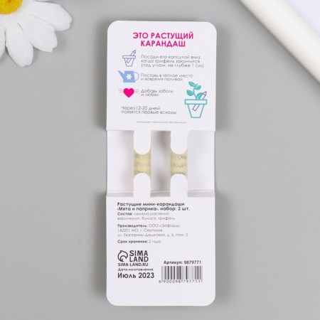 Growing gift pencils Mini "Mint and Paprika" set 2 pcs-1