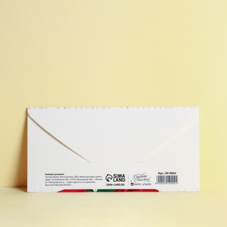 Money envelope "Congratulations!" 16.5 x 8 cm-2