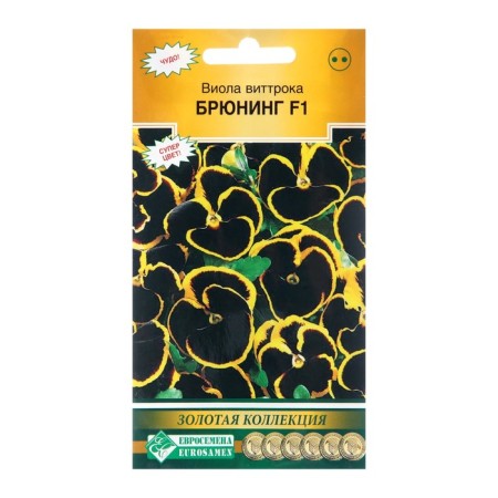 Flowers of VILOL WITROCKA "Bruning", 10 pcs