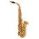 John Packer JP045G EB saxophone alt, golden varnish