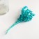 Set of dried flowers "chandra", banch length 40 (+/- 6 cm), turquoise