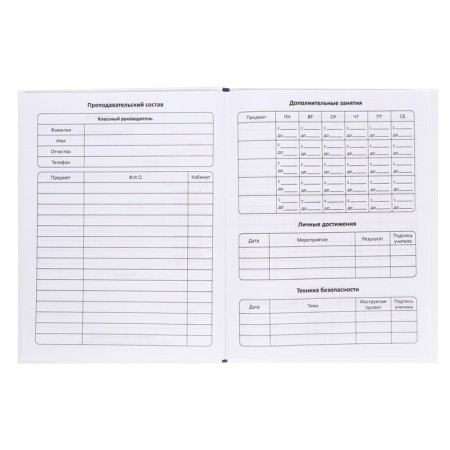 Diary Solid Cover 1-11 grade 48 sheets, Raven, Cardboard 7BC cover, matte lamination, selective UV-LK, cheat sheet-5
