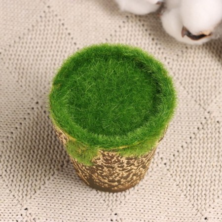 Floristic Kashpo "Trapezius" 6x6x6cm-3