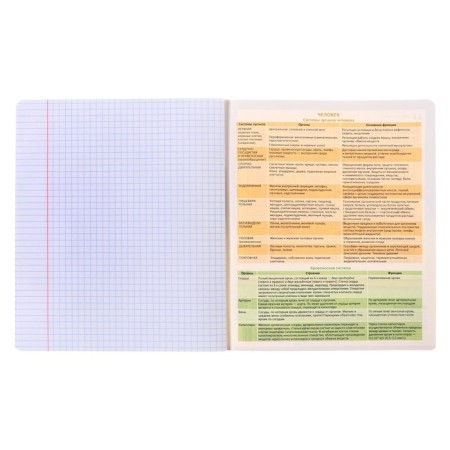 Subject notebook, 36 sheets, cage, biology, erichkrause "Timeline", coated cardboard, Blok Offset 100%, information block-4