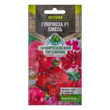 Flowers of Petunia 