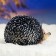 Garden figure "Hedgehog Hedgery" 19x14x13cm