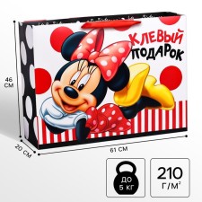 Laminated horizontal package, 46 x 61 cm 