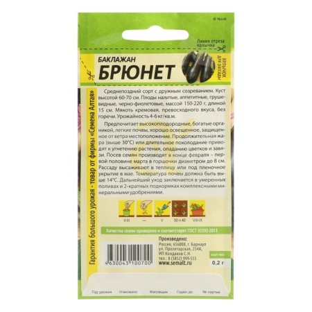 Eggplant seeds "Brunet" Seeds Altai Medium -Foreign, large -fruited, without bitterness, for a summer residence-1