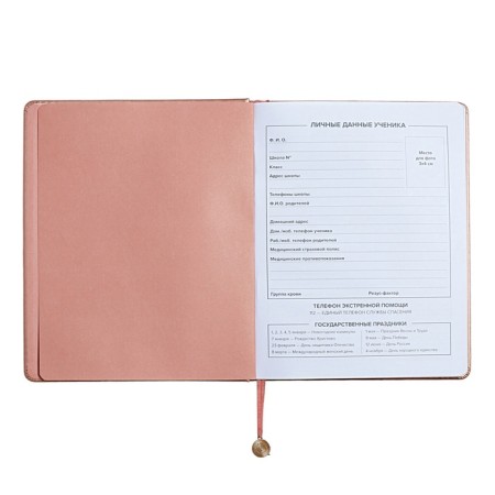 Universal Grade 1-11 Diary, 48 sheets "Pattern", solid cover of artificial leather, foil embossing, liesse, universal cheat sheet, block 80 g/m2-4