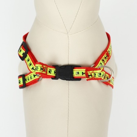 The “Bones and Paws” set of a reflective, leash 120 x 1.5 cm, OG 36-52 cm, red-4