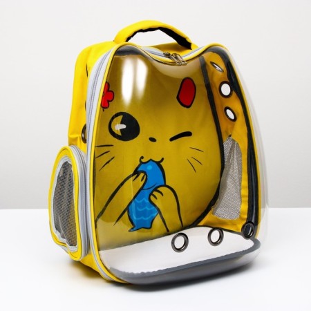 A backpack for carrying animals "cat", transparent, 34 x 25 x 40 cm, yellow-9