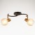 2 lamps