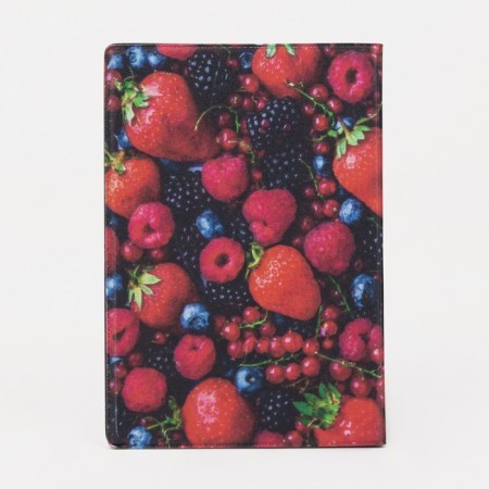 Cover for passport, red/blue color-1