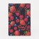 Cover for passport, red/blue color