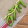 Flood "Buegal" 12 peppers, 45 cm, green
