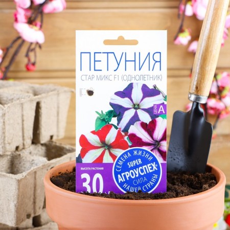 Flowers of Petunia "Star", mix, 0.05g