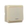 Luazon Lighting "League" switch, 10 A, 1 key, with backlight, invoice, beige