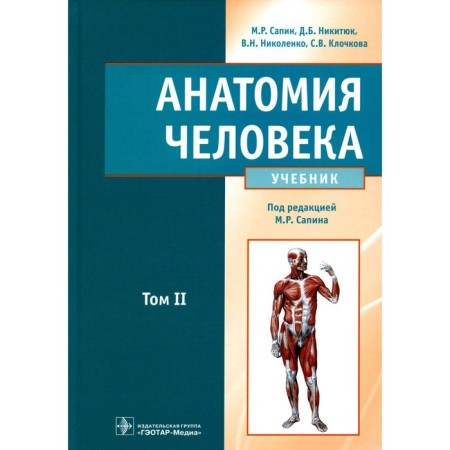 Human anatomy. Textbook. In 2 volumes. Volume 2. Nikityuk D.B., Sapin M.R., Nikolenko V.N.