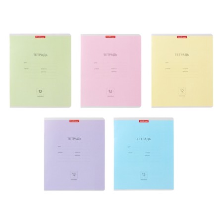 Notebook of 12 sheets in the Erichkrause "Classic", cover coated cardboard, offset block 100% white, mix