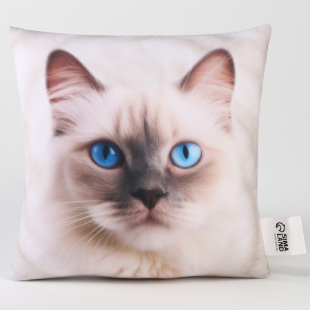 Antistress pillow "Ragdoll"-2