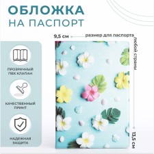 Cover for passport, blue color