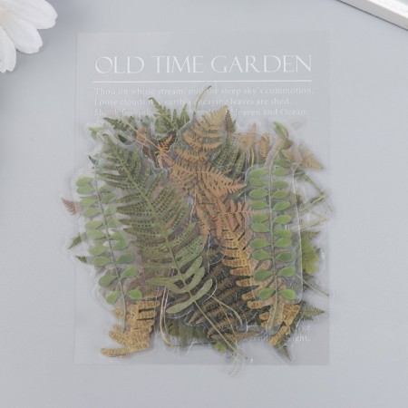 Stickers for creativity "Palm leaves" set 40 pcs 12x9 cm-3