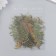 Stickers for creativity "Palm leaves" set 40 pcs 12x9 cm