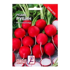 Seeds XXXL Radis 